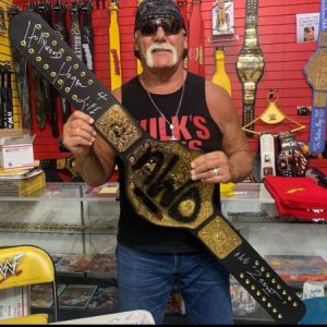 Hulk Hogan Height, Bio, Age, Relationships, Net Worth, Wife, Ig