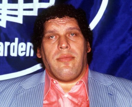 andre the giant age